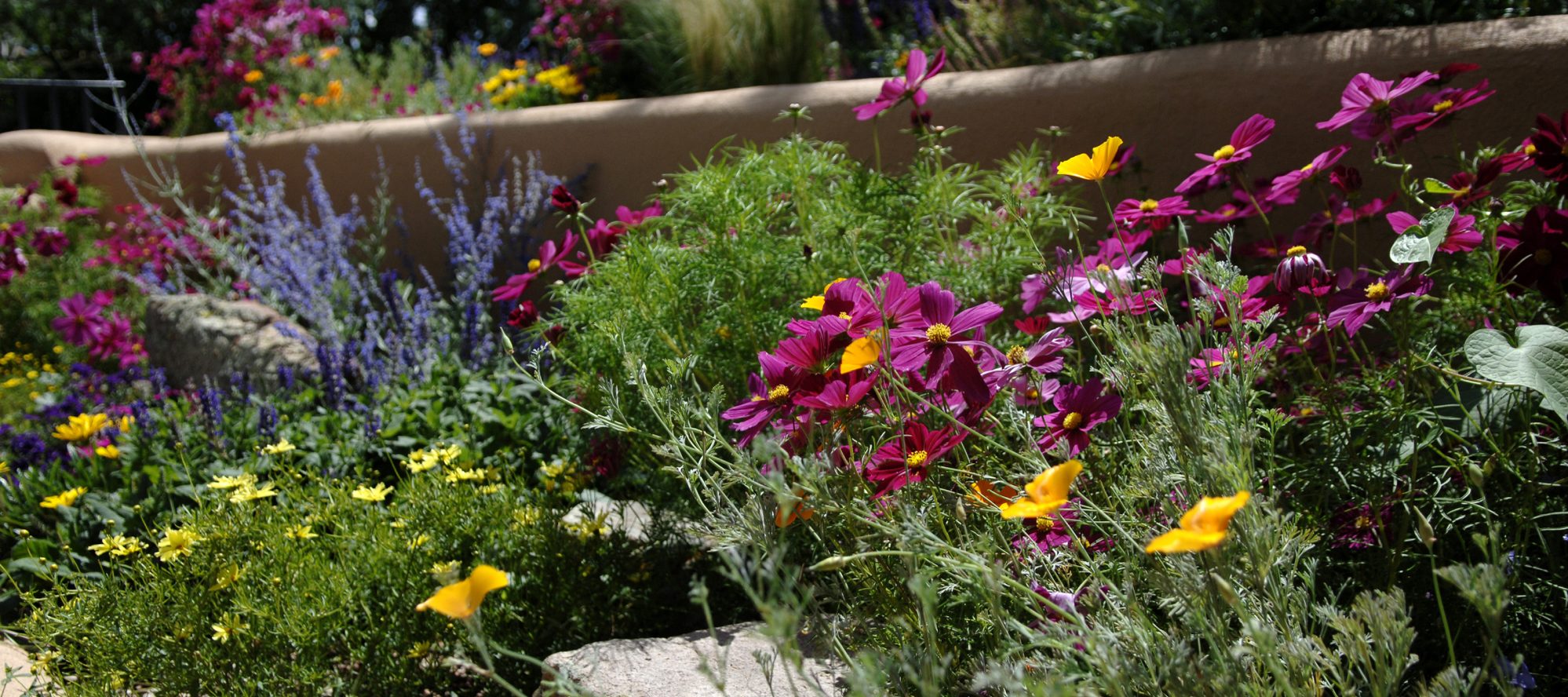  Santa Fe Opera Motiv 